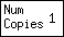 [NUMBER OF COPIES]